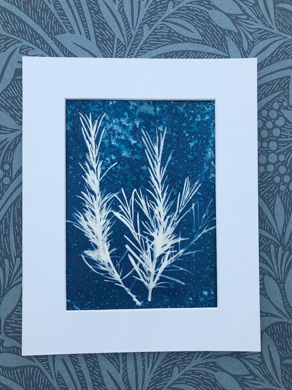 Original Cyanotype Gift, Artful Aromatics- Rosemary-Framed or Mounted