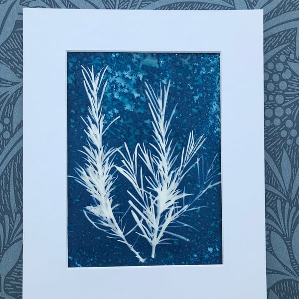 Original Cyanotype Gift, Artful Aromatics- Rosemary-Framed or Mounted