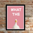 What the Duck  Wall Prints