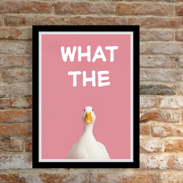 What the Duck  Wall Prints