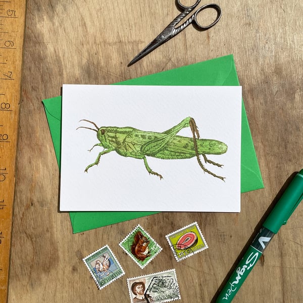 Grasshopper Greeting Card