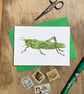 Grasshopper Greeting Card