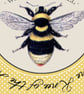 Personalised Print Bee's Knees, gift for her - Image 4