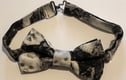 Bold Bow Ties