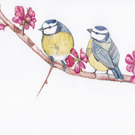 Biro bluetits