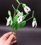 Snowdrop - Image 2
