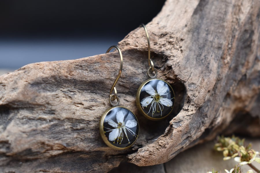Hypoallergenic Real Pressed Flower Resin Earrings, Titanium Ear Hooks, Black