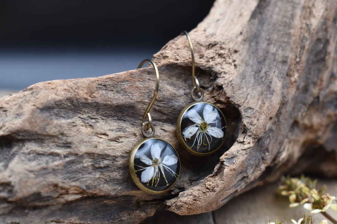 Hypoallergenic Real Pressed Flower Resin Earrings, Titanium Ear Hooks, Black