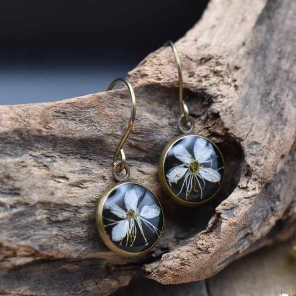 Hypoallergenic Real Pressed Flower Resin Earrings, Titanium Ear Hooks, Black