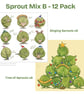 Sprout Mixed Pack B - 12 Cards