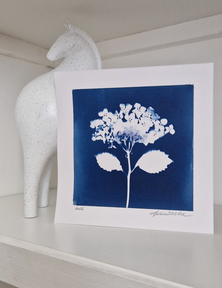 Cyanotype Botanical Print No. 23
