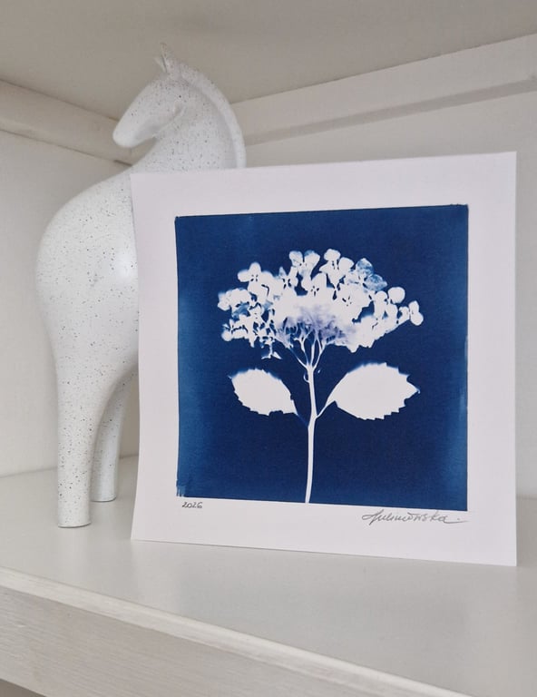 Cyanotype Botanical Print No. 23