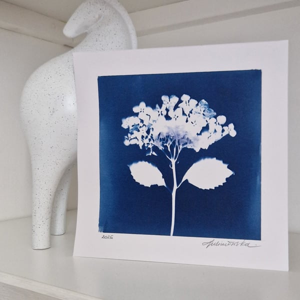 Cyanotype Botanical Print No. 23