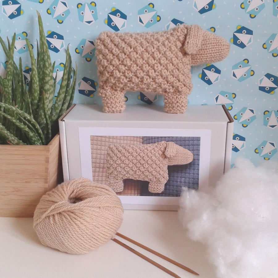 Welsh Mountain Sheep Knitting Kit