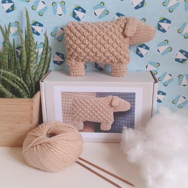 Welsh Mountain Sheep Knitting Kit