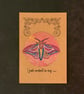 Postcard - I Just Wanted To Say