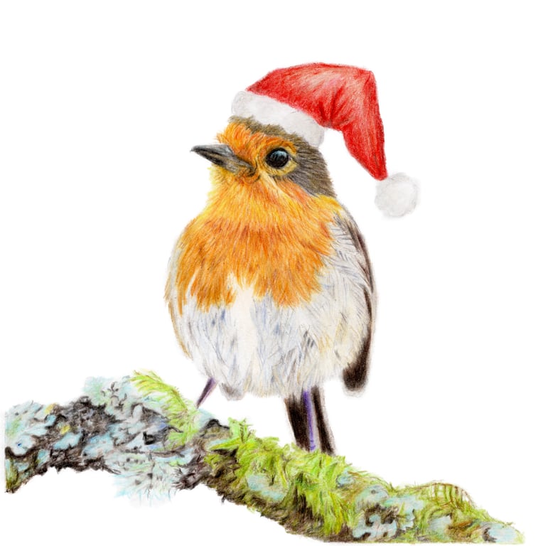 Hand-drawn Robin Christmas Card