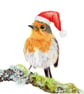 Hand-drawn Robin Christmas Card - Image 1