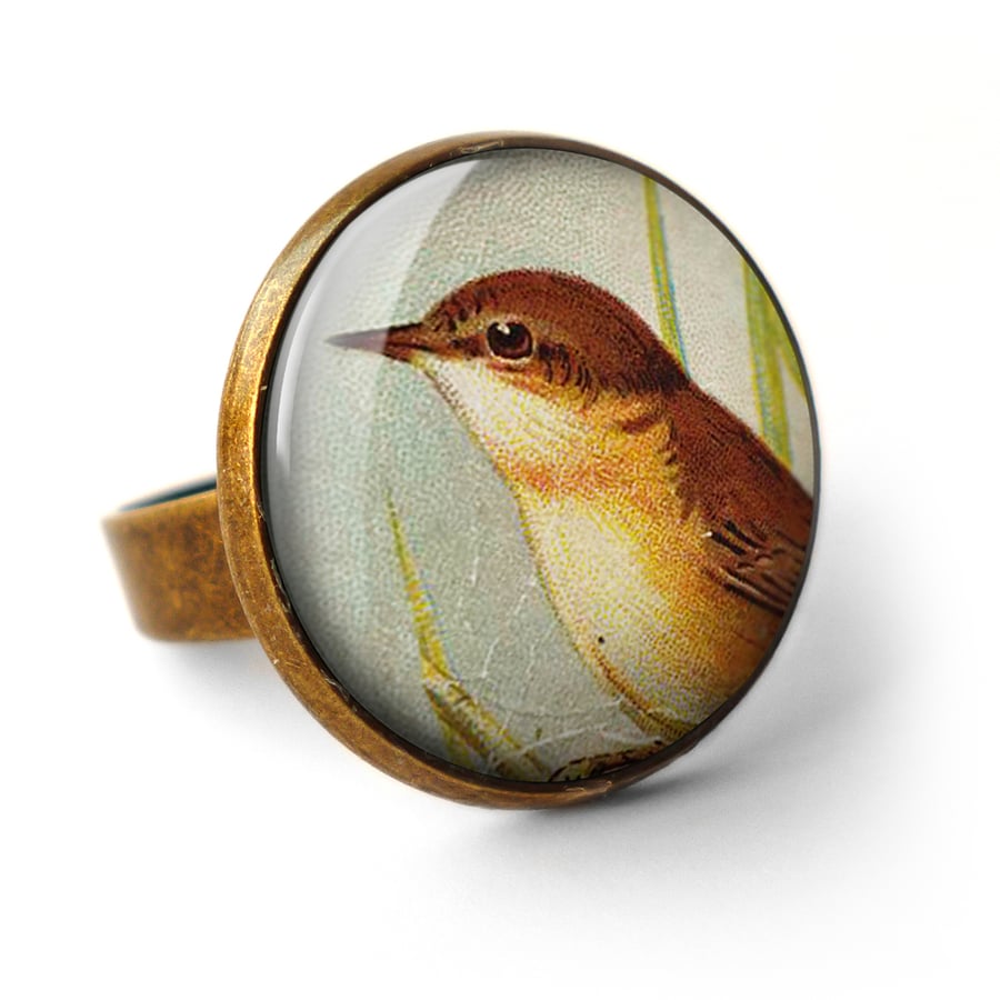 Reed Warbler Ring (TB07)