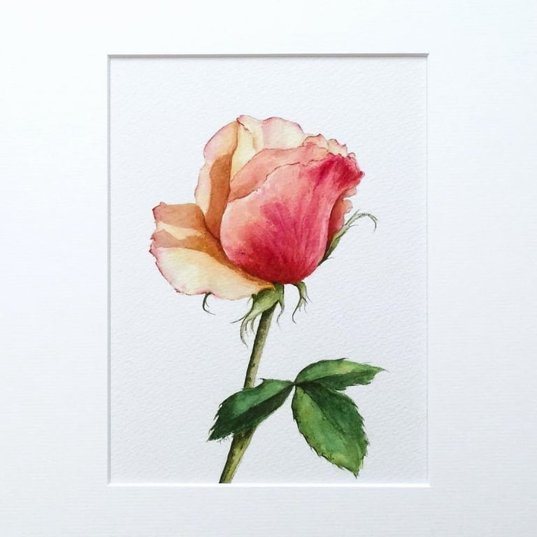  Original Painting Watercolour Rose Floral Art Painting 