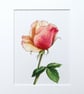  Original Painting Watercolour Rose Floral Art Painting  - Image 1