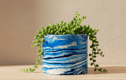 Small Plant Pots
