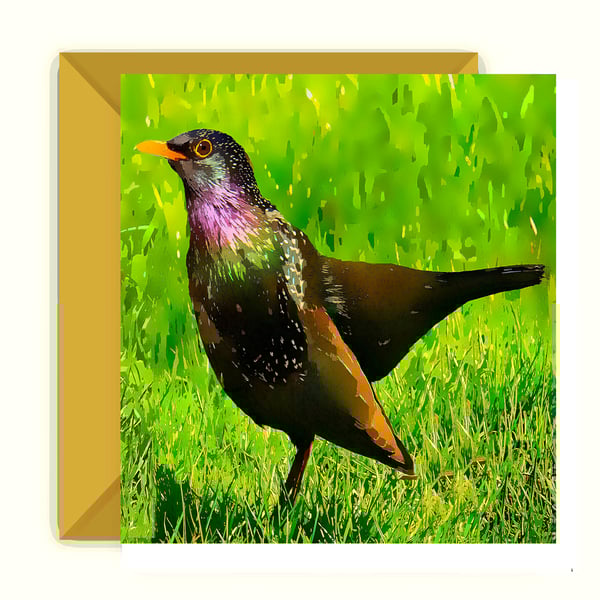 Blackbird  Birthday, Greeting Card