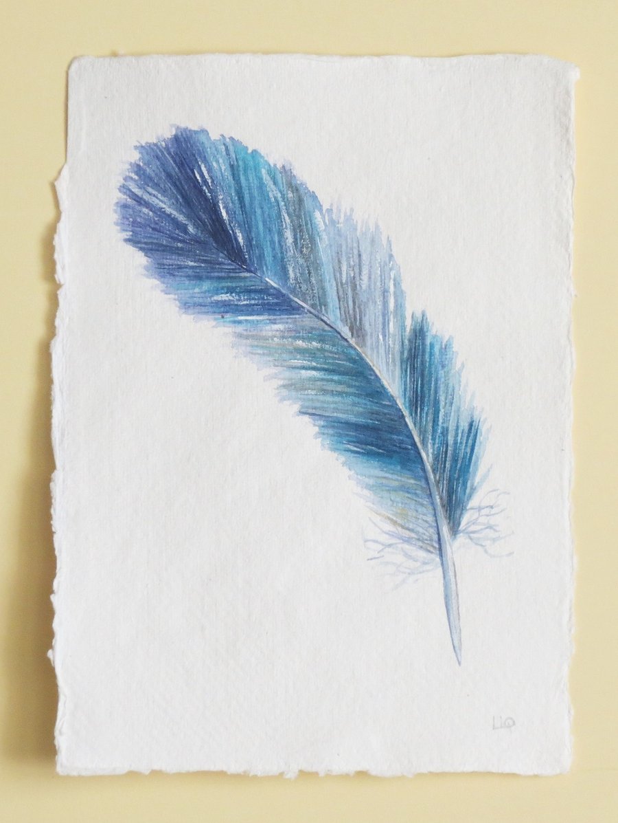 Feather painting original watercolour illustration