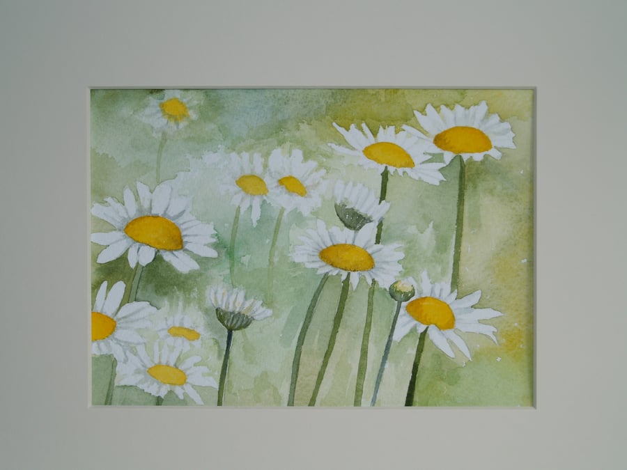 Original Watercolour Meadow Daisies