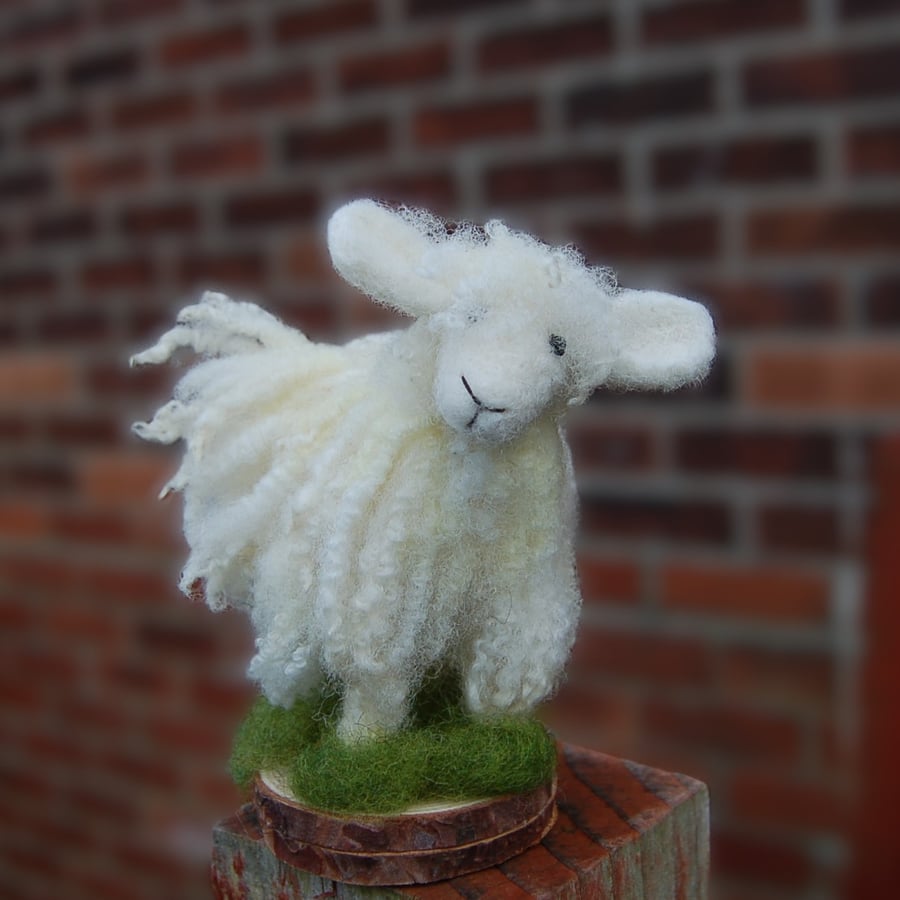 Needle Felt curly fleece Sheep,  wool Sheep, Sheep ornament, 