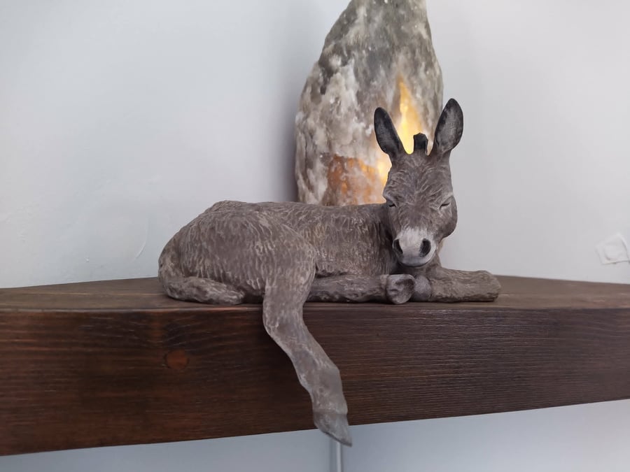 Dylan the Donkey LIGHTWEIGHT Shelf Sleeper, indoor Ornament,  Farm yard Animal