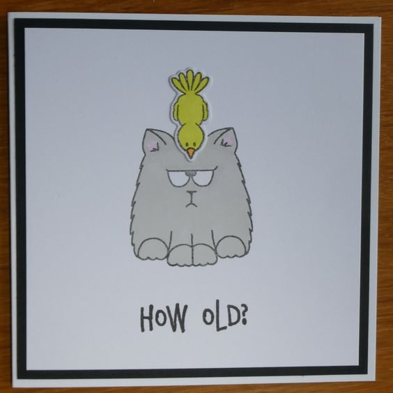Grumpy Cat Birthday Card - How Old?