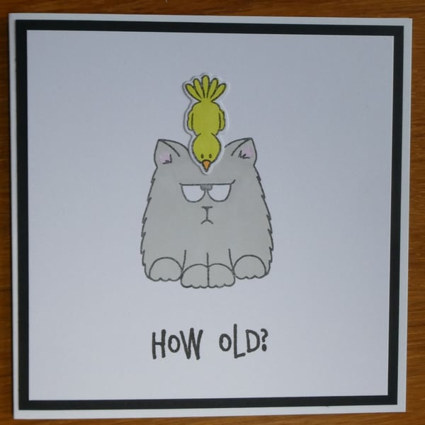 Grumpy Cat Birthday Card - How Old?