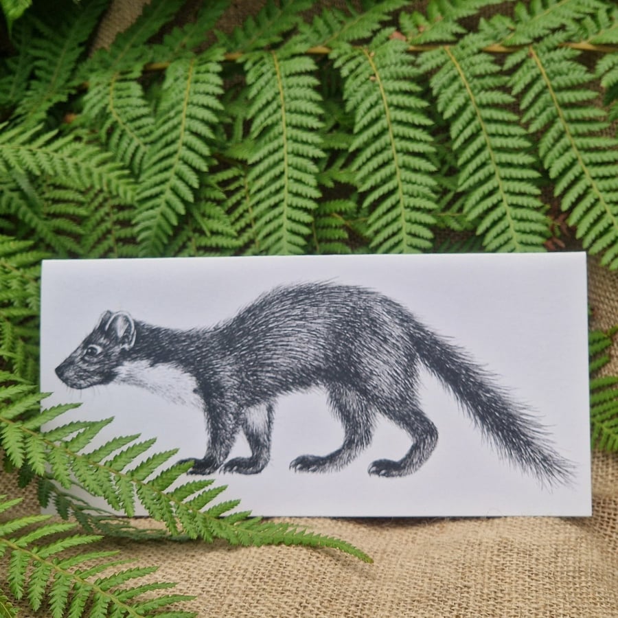 Image of Pine marten card