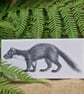 Pine marten card