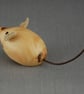 Little Mouse Needs a Home - Image 3