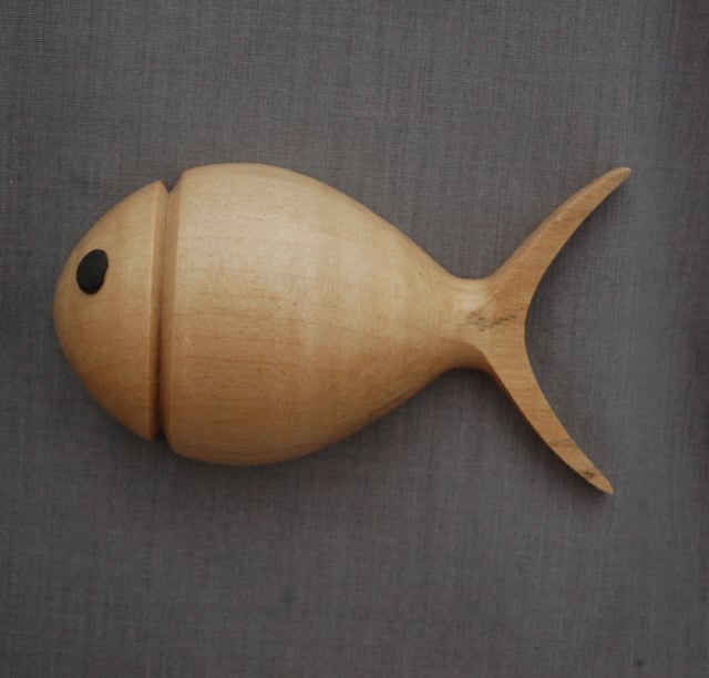 Finley, a Fish in Ripple Sycamore