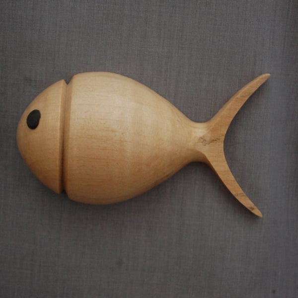 Finley, a Fish in Ripple Sycamore