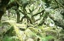 Landscape Photos