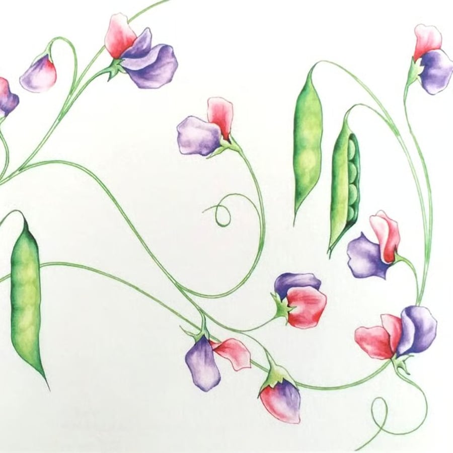 "Summer Sweet Peas" A5 Art Print