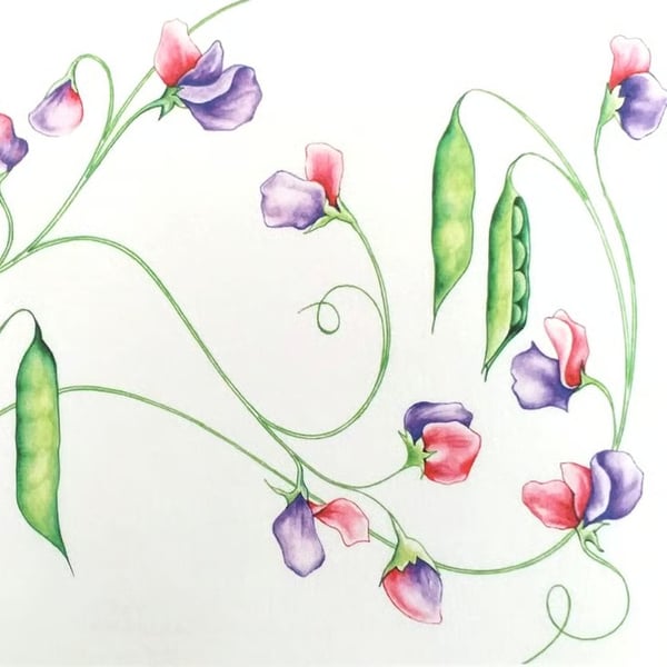 "Summer Sweet Peas" A5 Art Print
