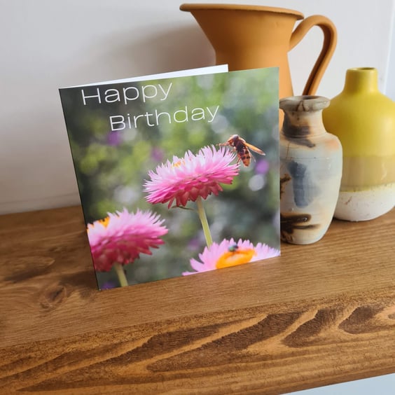 bee on strawflower photo birthday card