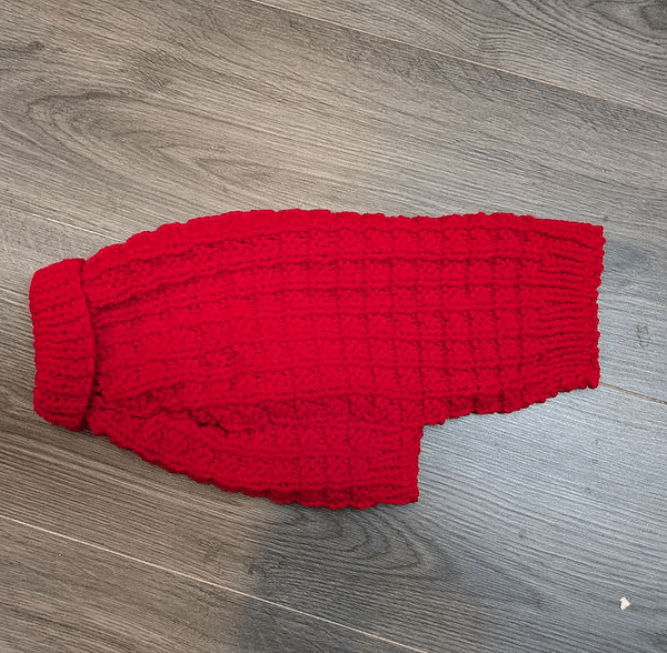 Small Dog Jumper - Red Dog Sweater