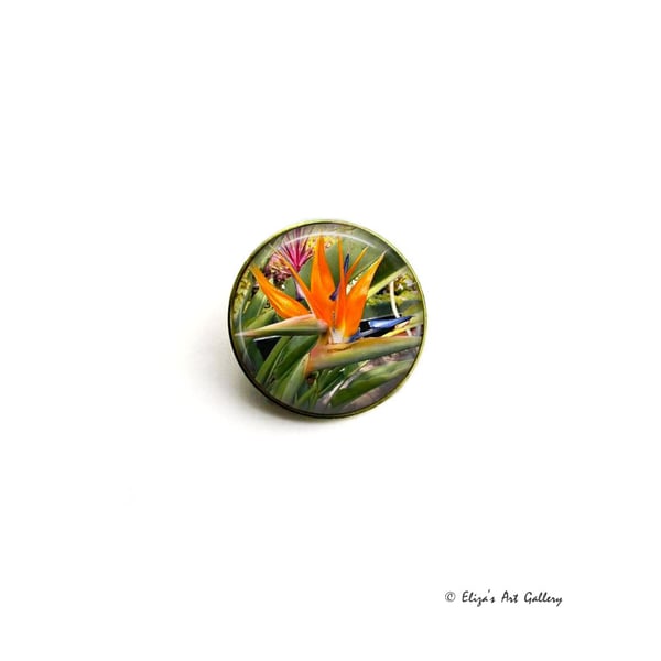 Gold Tone Bird of Paradise Flower Cabochon Brooch