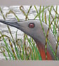 Red-Throated Diver bird portrait.  small bird drawing, original art gift - Image 6