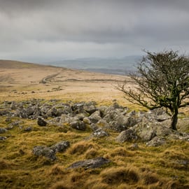 Photograph - Great Nodden, Dartmoor, Devon - Limited Edition Signed Print