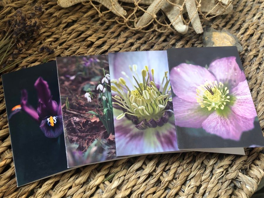 Winter Flower Mini Notecard Set of Four