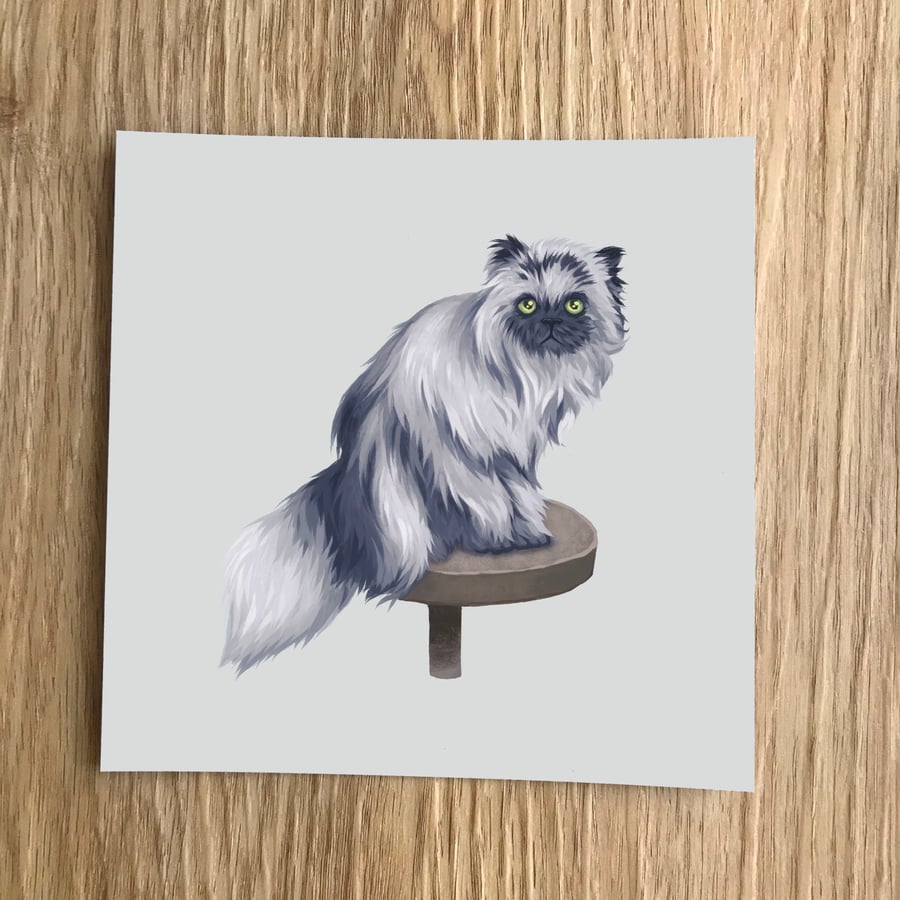 Cat Square Post Card Print