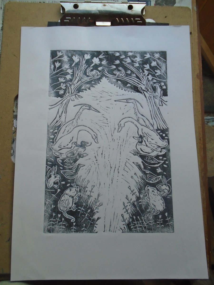 Seconds Sunday Canal wildlife