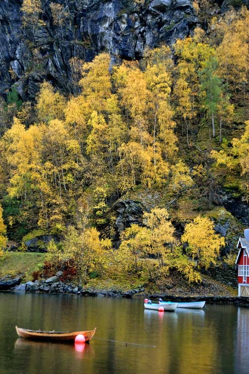 Flam Aurlandsfjord Norway Scandinavia 12"x18" Print